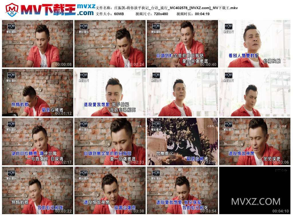 庄振凯-将你放乎袂记_台语_流行_MC402578